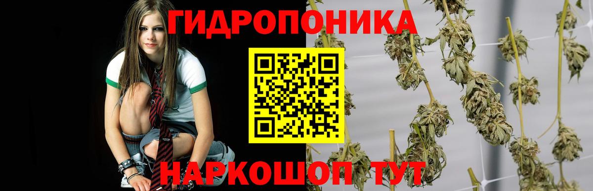 Конопля гибрид  Марихуана марихуана  МАРИХУАНА гибрид  Карачаевск  Вход с VPN 